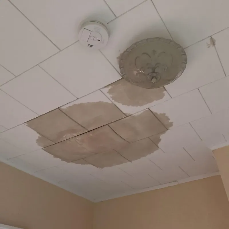 Ceiling Water Damage Repair in Dalton Gardens, ID