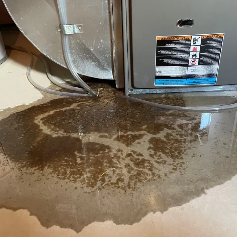 Pipe Burst and Leak Restoration in Dalton Gardens, ID
